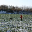 nov0833.jpg